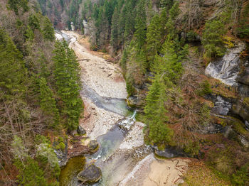 High angle view of road amidst trees