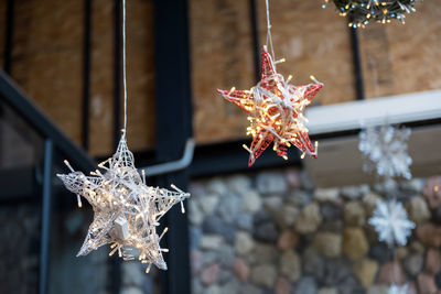 Close-up of christmas tree