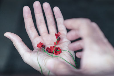 Close-up of hand holding wilted flower 