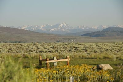 Scenic view of agricultural field and mountains against sky