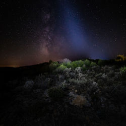 Scenic view of landscape against star field at night