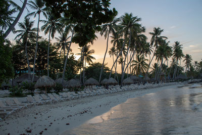 Palm trees by swimming pool against sky during sunset