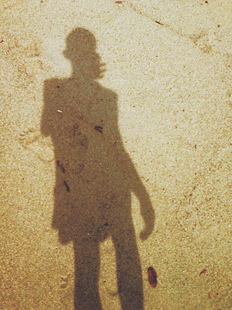 shadow, sunlight, standing, high angle view, focus on shadow, sand, outdoors, day, sunny, tranquility