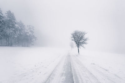 Snow covered road amidst trees during winter