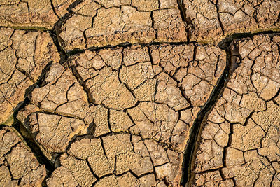 Close-up view of earth cracked because of drought