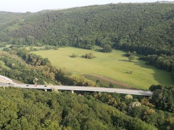 High angle view of road amidst trees in forest