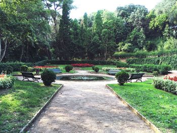 View of park in garden