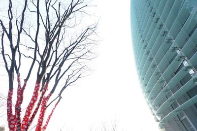 Low angle view of tree against sky