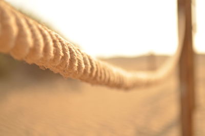 Close-up of rope