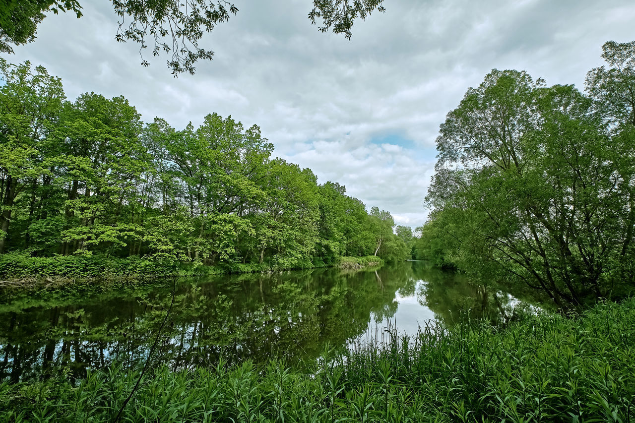 REFLECTION OF TREES ON LAKE AGAINST SKY