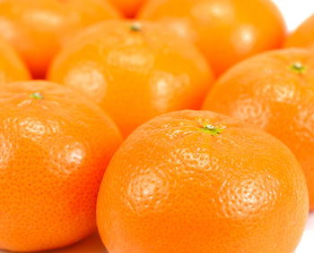 Close-up of oranges