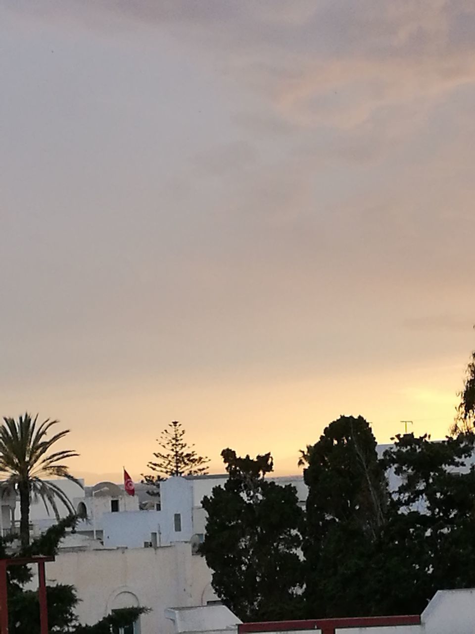 PALM TREES AT SUNSET