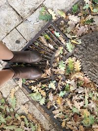High angle view of woman legs