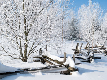 Snow covered bare trees on field during winter