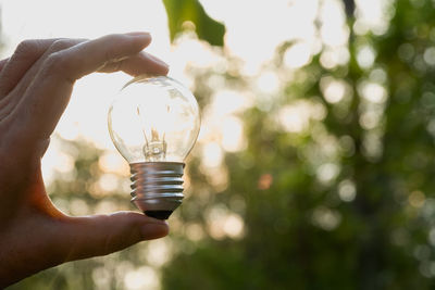 Close-up of person holding light bulb against trees