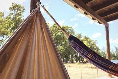 Low angle view of hanging tree against sky