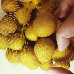 Close-up of hand holding fruits