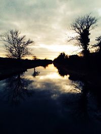 Reflection of bare trees in water