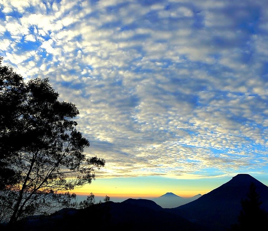 Bukit Sikunir, Dieng, Wonosobo