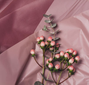 Creative still life with a bouquet of flowers eucalyptus and hypericum on pink wrapping paper. 