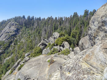 Scenic view of landscape against clear sky