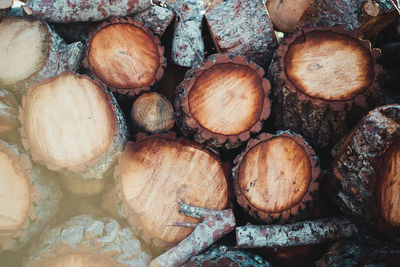 Full frame shot of logs in forest