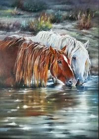 View of horse drinking water