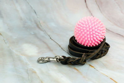 High angle view of pink flower on table