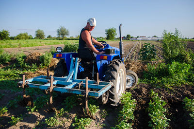 A farmer on a tractor with a plow works in the field. young potatoes bushes agroindustry