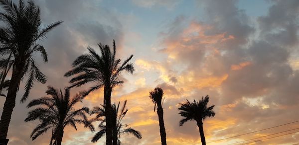 Low angle view of silhouette palm trees against sky during sunset