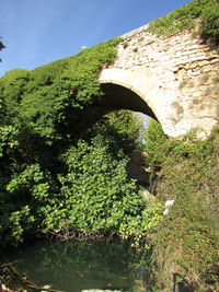 Low angle view of tree by bridge against sky