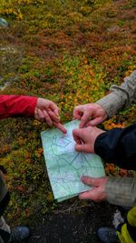 Hand holding dry leaves on ground