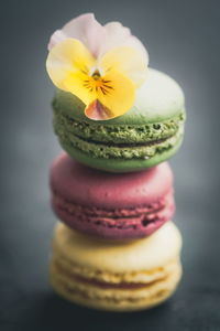 Pansy on top of stacked macaroons