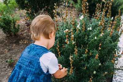 Little girl walks in the garden among beautiful evergreen southern plants