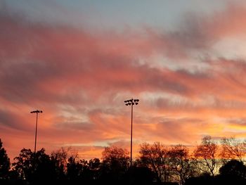 Low angle view of silhouette trees against orange sky