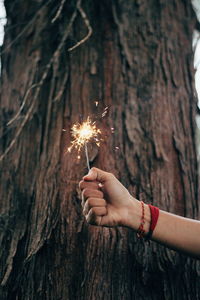 Woman hand holding tree trunk