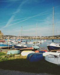 Sailboats moored on harbor against sky