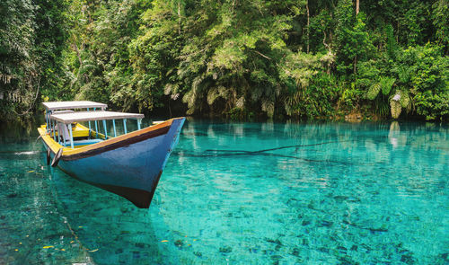 Boat moored in sea against trees in forest