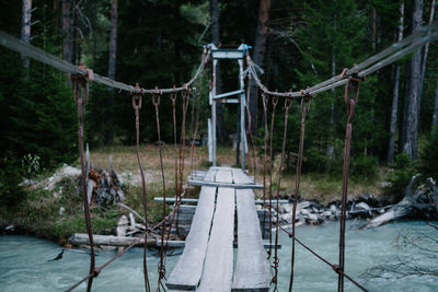 Bridge over trees in forest