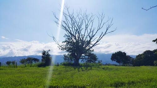 Scenic view of grassy field against cloudy sky