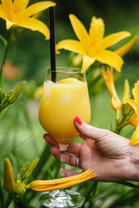 Glass of orange juice between yellow flowers