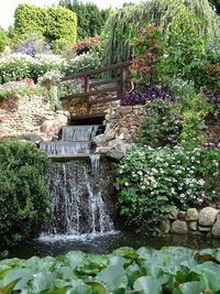 Water flowing through rocks in garden