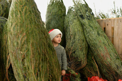 Rear view of woman standing by tree trunk