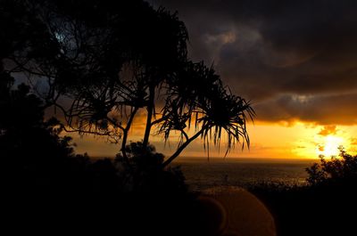 Scenic view of sea at sunset