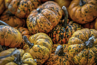 Full frame shot of pumpkins at market stall