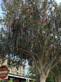 Low angle view of trees against building