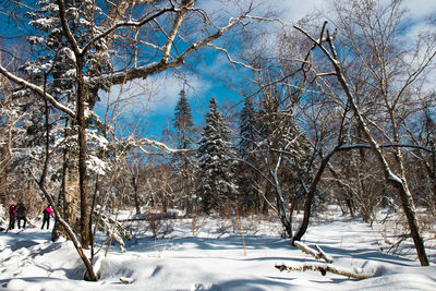 Bare trees on snow covered field against sky