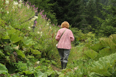 Rear view of woman walking in forest