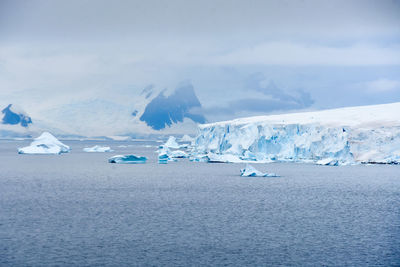 Icebergs in antarctica continent