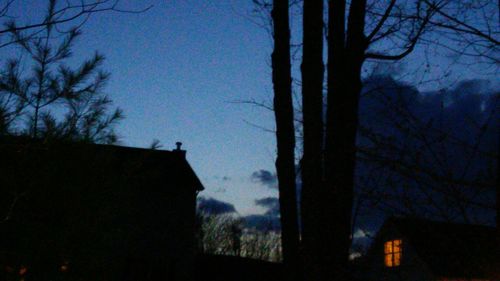Bare trees against sky at dusk